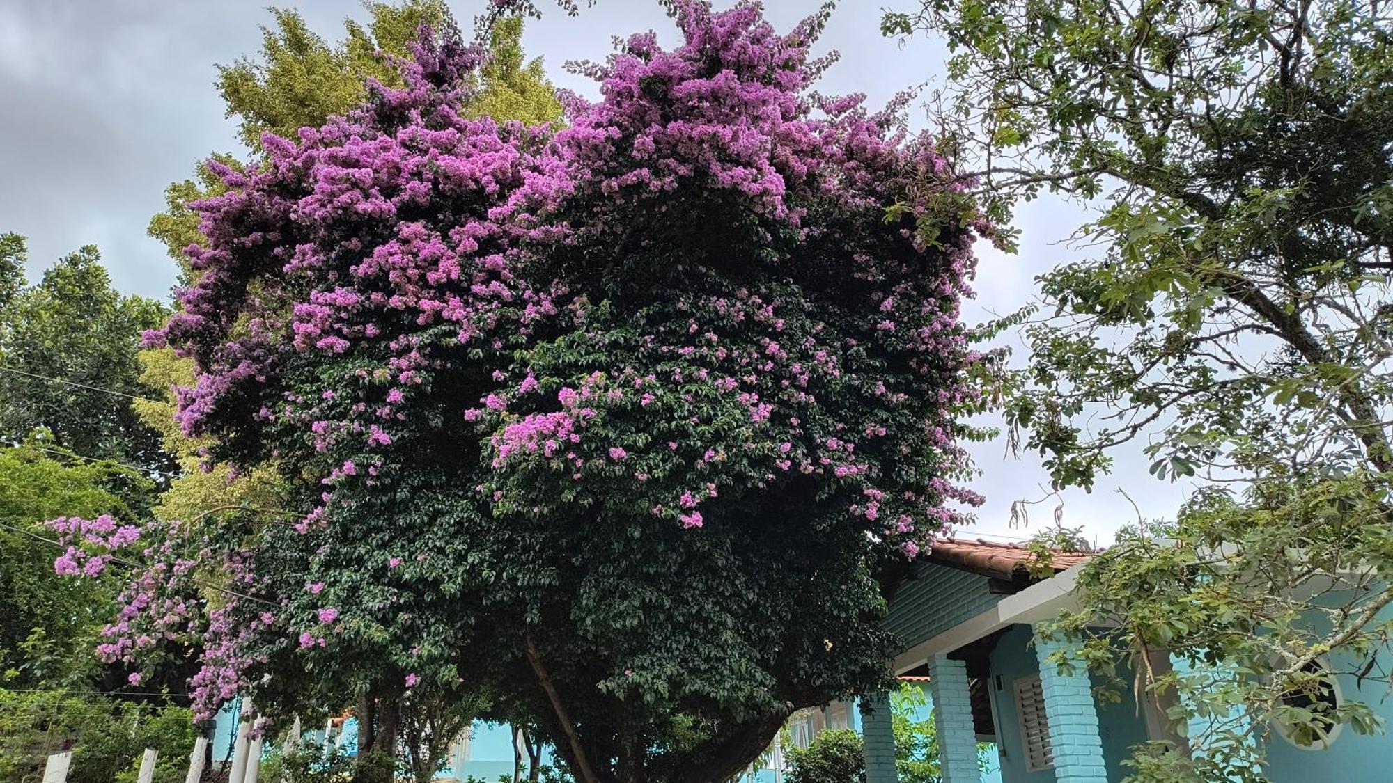 Pousada Recanto Do Sossego 호텔 São Tomé das Letras 외부 사진