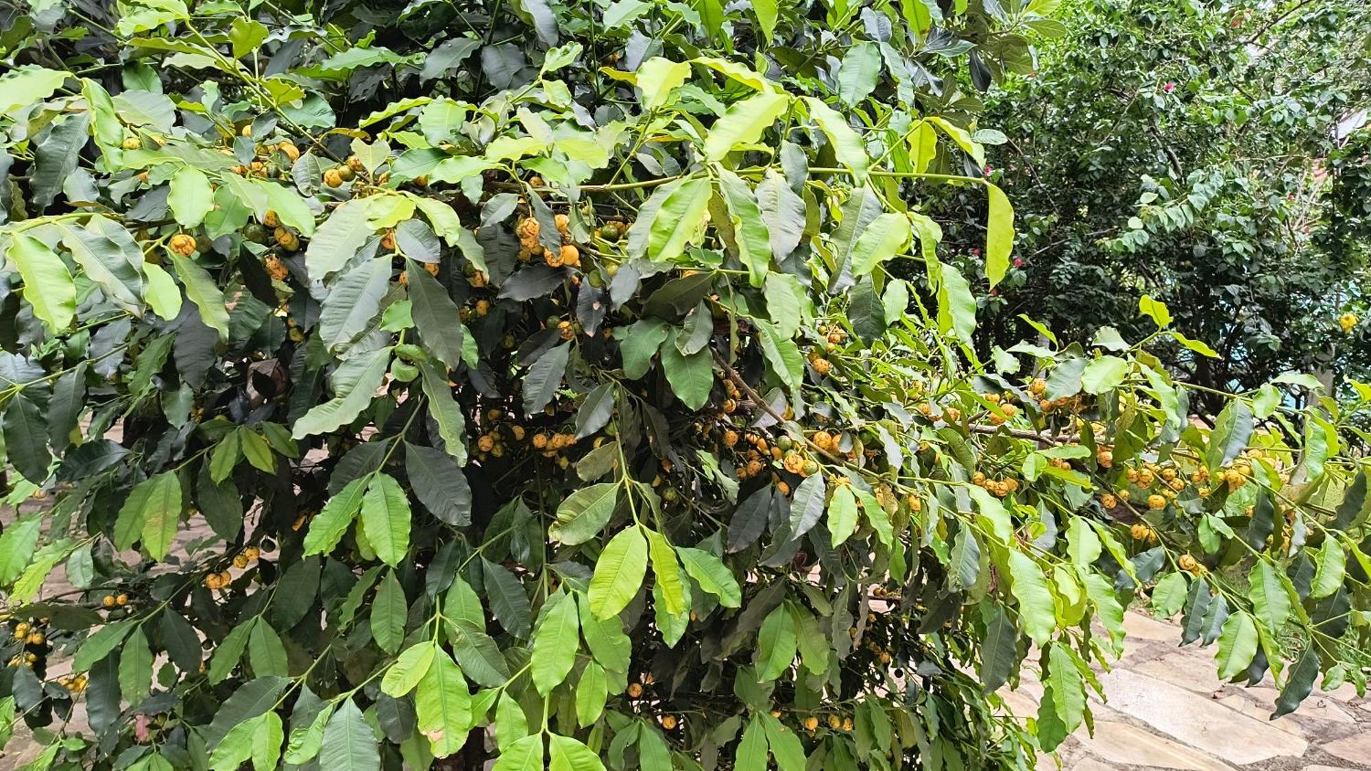 Pousada Recanto Do Sossego 호텔 São Tomé das Letras 외부 사진